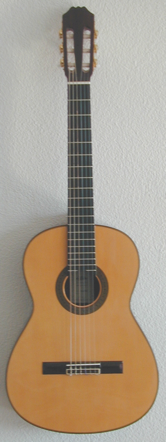 Gitarre, akustische Gitarre